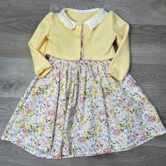 Baby Girl Dress Size 24M - Picture 1 of 13